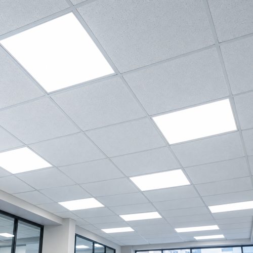 Cielo americano con palmetas blancas nuevas y luminarias